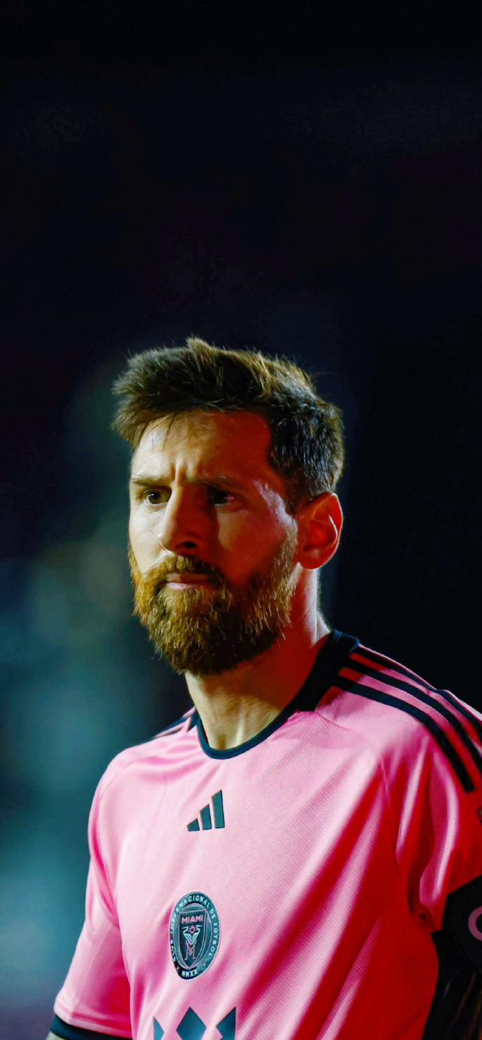 新的战术安 新的战术安