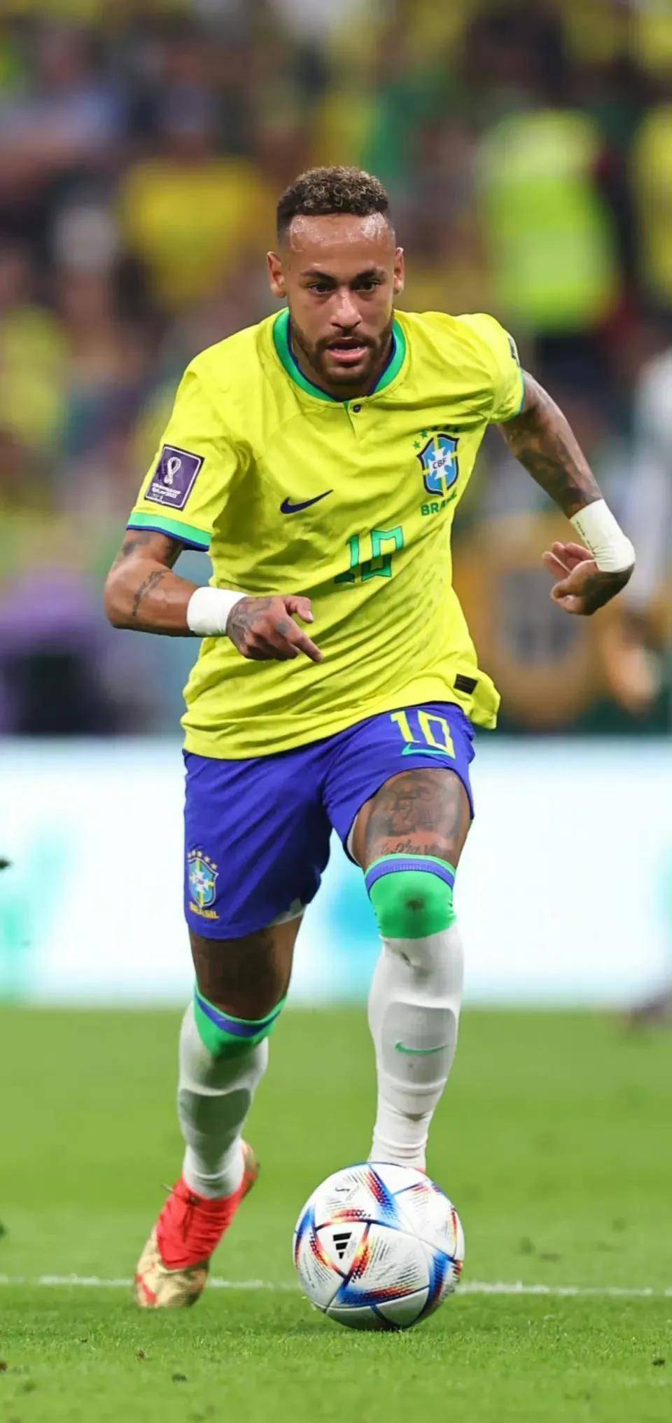 确立了对龙 确立了对龙